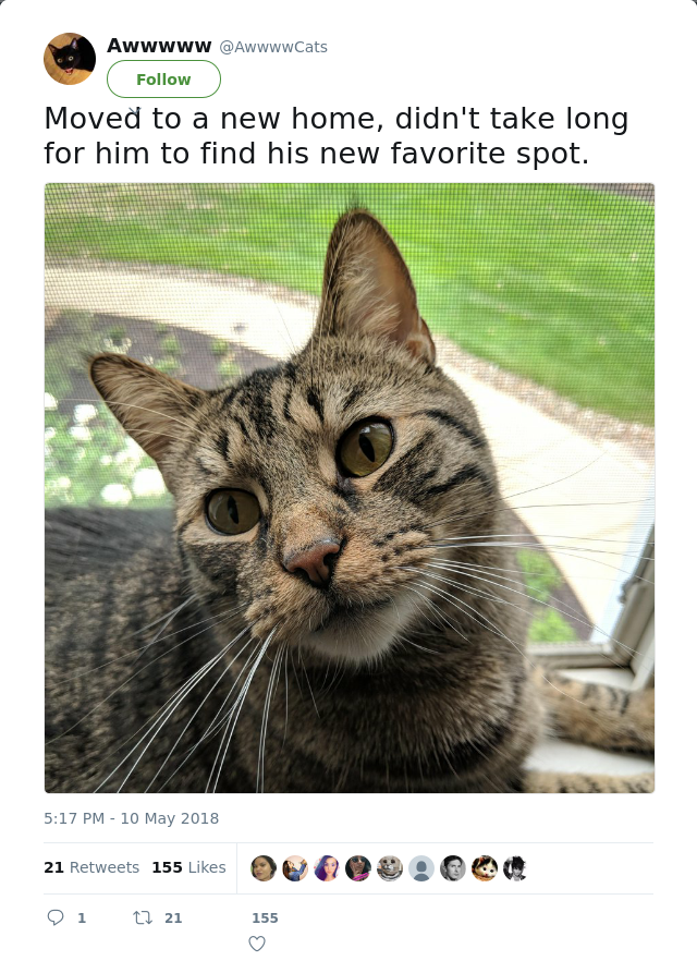 RT @AwwwwCats: Moved to a new home, didn't take long for him to find his new favorite spot.