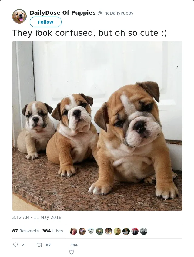 RT @TheDaiIyPuppy: They look confused, but oh so cute :)