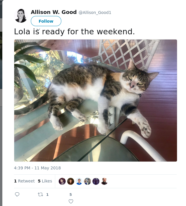 RT @Allison_Good1: Lola is ready for the weekend.