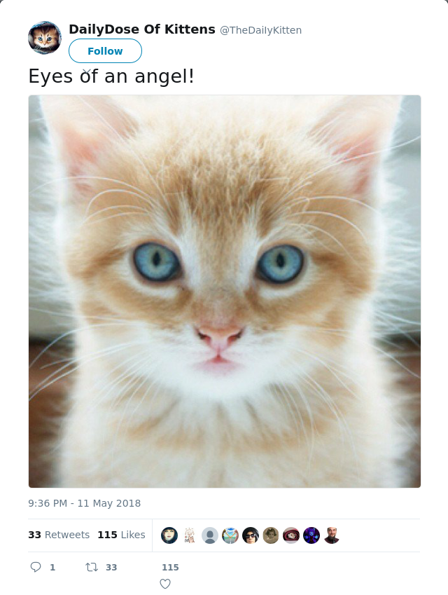 RT @TheDaiIyKitten: Eyes of an angel!
