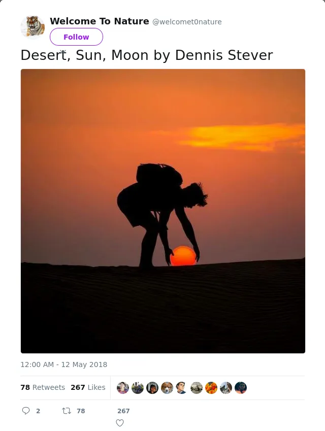 RT @welcomet0nature: Desert, Sun, Moon by Dennis Stever