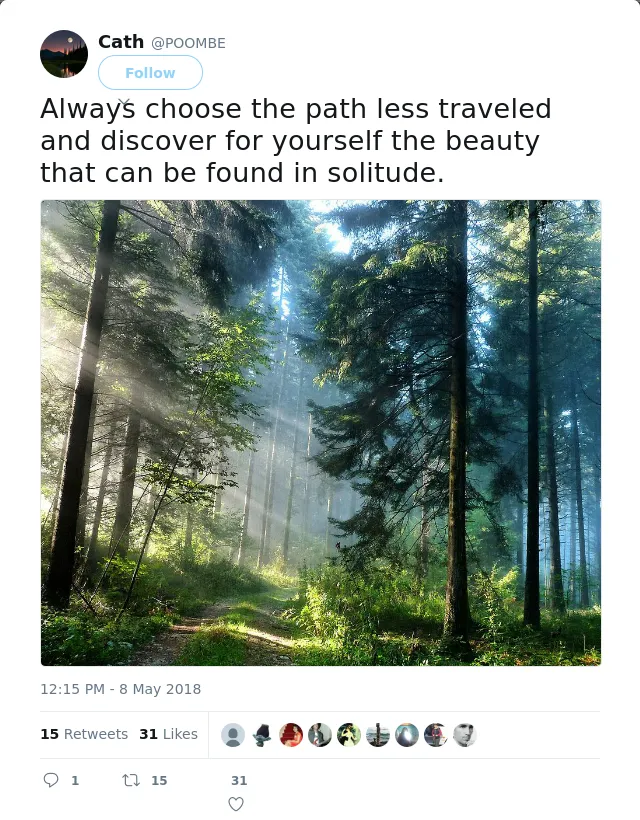 RT @POOMBE: Always choose the path less traveled and discover for yourself the beauty that can be found in solitude.