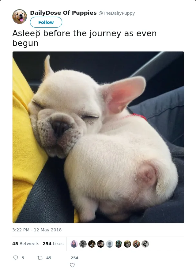 RT @TheDaiIyPuppy: Asleep before the journey as even begun