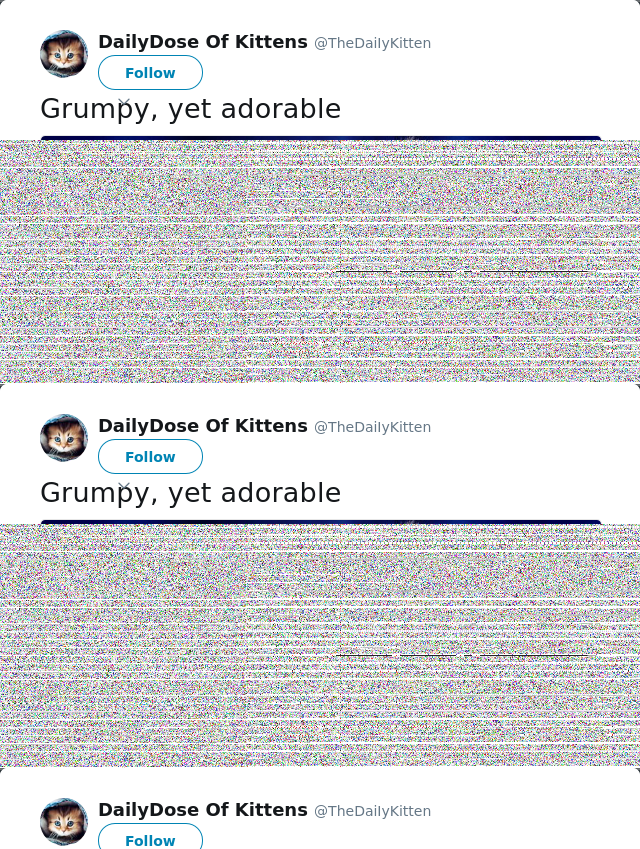 RT @TheDaiIyKitten: Grumpy, yet adorable