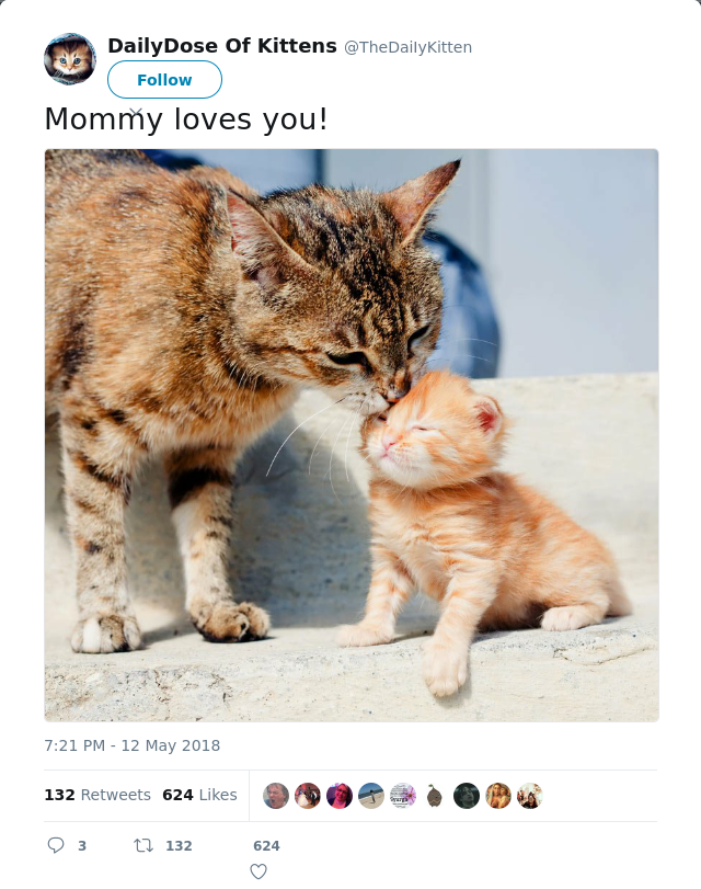 RT @TheDaiIyKitten: Mommy loves you!