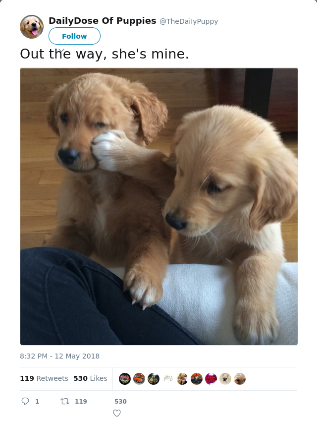 RT @TheDaiIyPuppy: Out the way, she's mine.