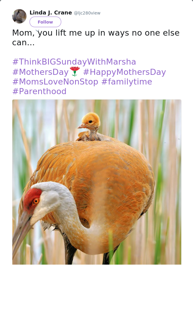 RT @ljc280view: Mom, you lift me up in ways no one else can... 

#ThinkBIGSundayWithMarsha #MothersDay #HappyMothersDay #MomsLoveNonStop #f…