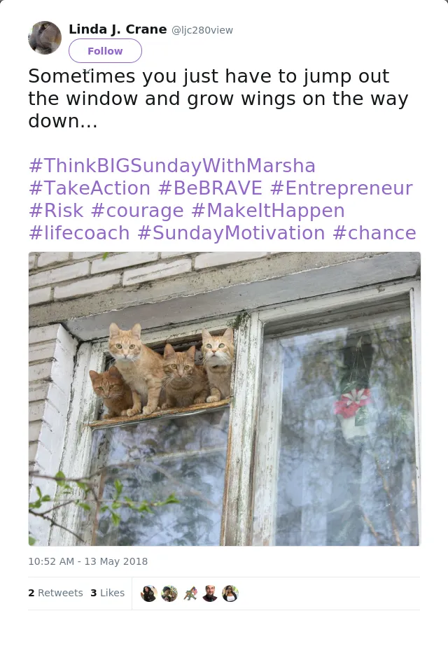 RT @ljc280view: Sometimes you just have to jump out the window and grow wings on the way down...

#ThinkBIGSundayWithMarsha #TakeAction #Be…