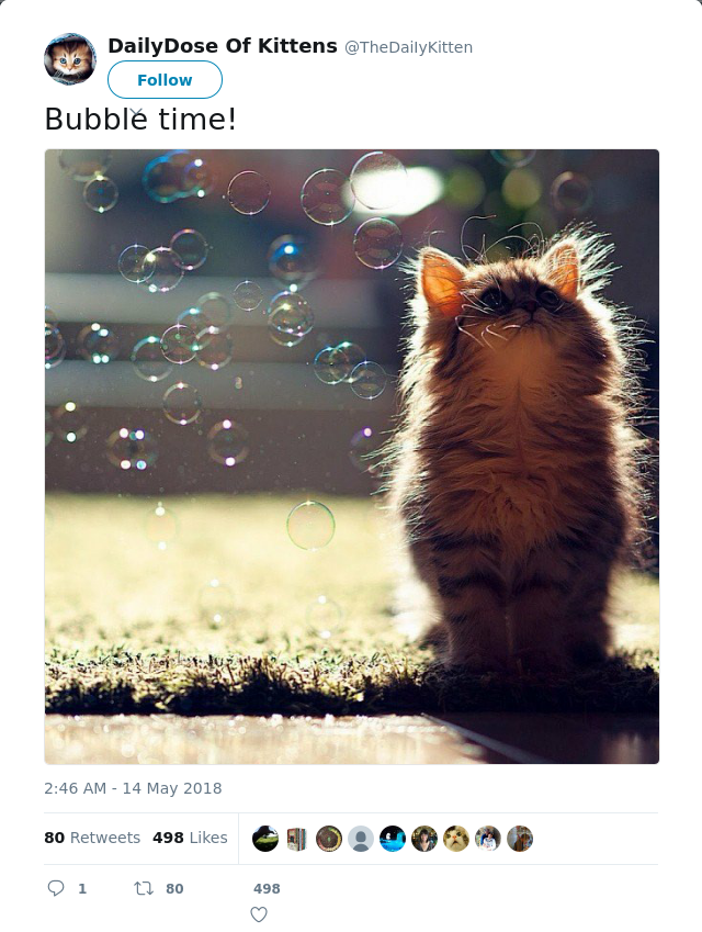 RT @TheDaiIyKitten: Bubble time!