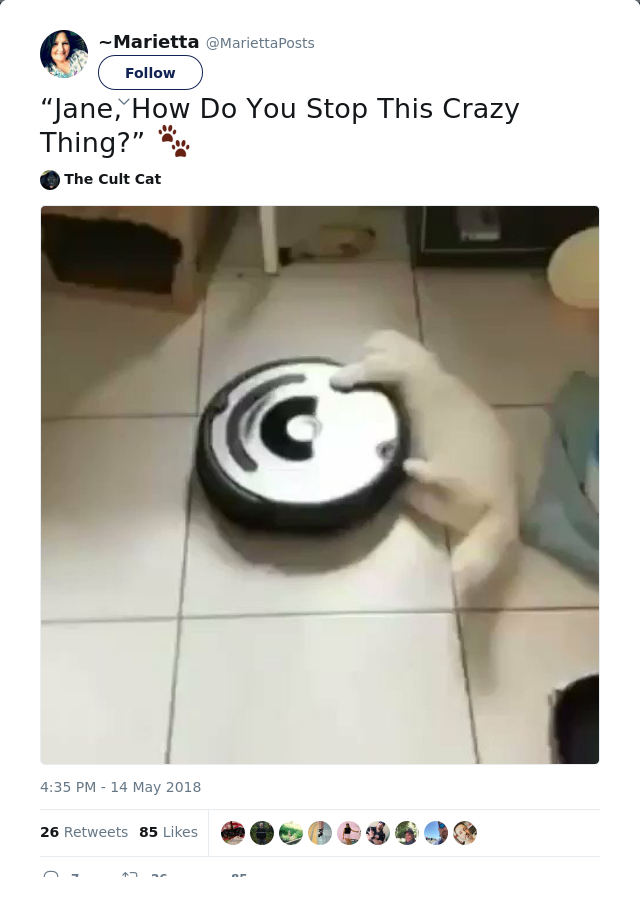 RT @MariettaPosts: “Jane, How Do You Stop This Crazy Thing?” 🐾