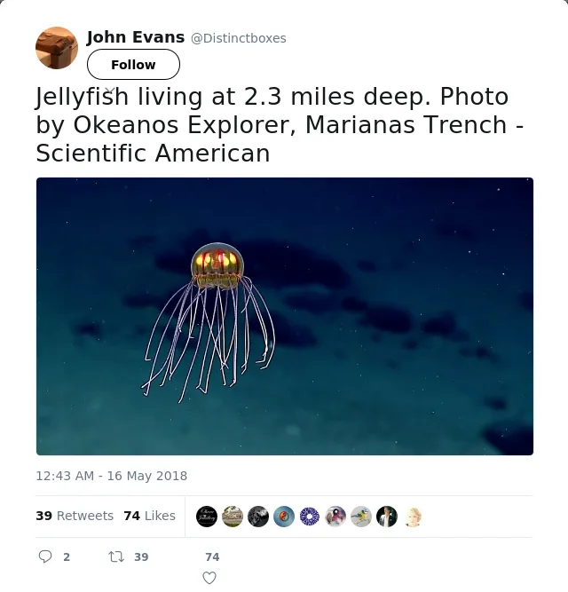 RT @Distinctboxes: Jellyfish living at 2.3 miles deep. Photo by Okeanos Explorer, Marianas Trench - Scientific American