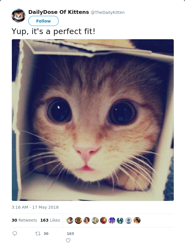 RT @TheDaiIyKitten: Yup, it's a perfect fit!