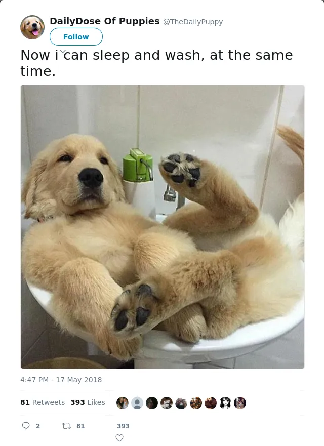 RT @TheDaiIyPuppy: Now i can sleep and wash, at the same time.