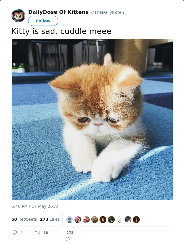 RT @TheDaiIyKitten: Kitty is sad, cuddle meee