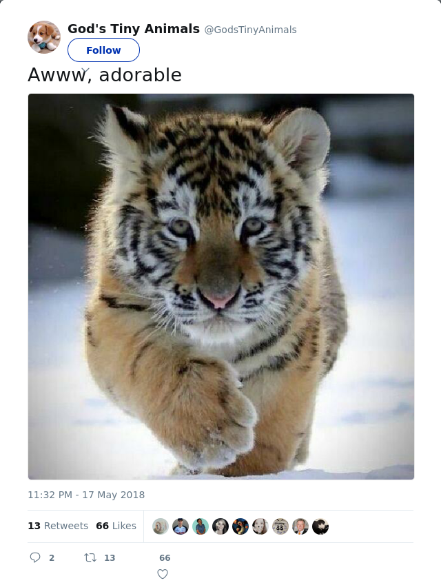 RT @GodsTinyAnimals: Awww, adorable