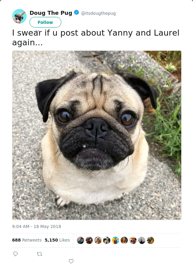 RT @itsdougthepug: I swear if u post about Yanny and Laurel again...