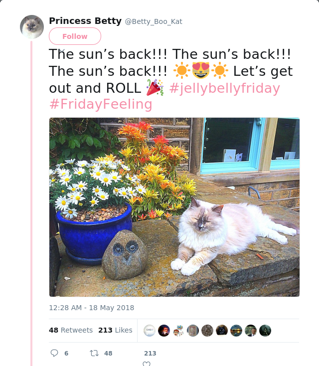 RT @Betty_Boo_Kat: The sun’s back!!! The sun’s back!!! The sun’s back!!! ☀️😻☀️ Let’s get out and ROLL 🎉 #jellybellyfriday #FridayFeeIing ht…