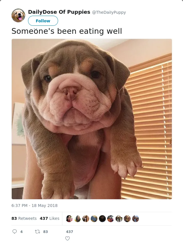 RT @TheDaiIyPuppy: Someone's been eating well