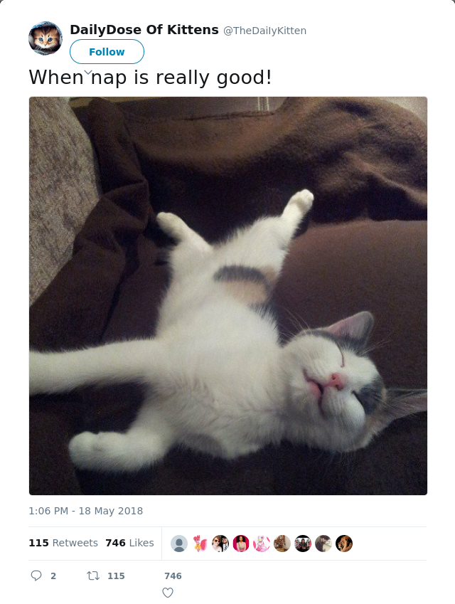RT @TheDaiIyKitten: When nap is really good!