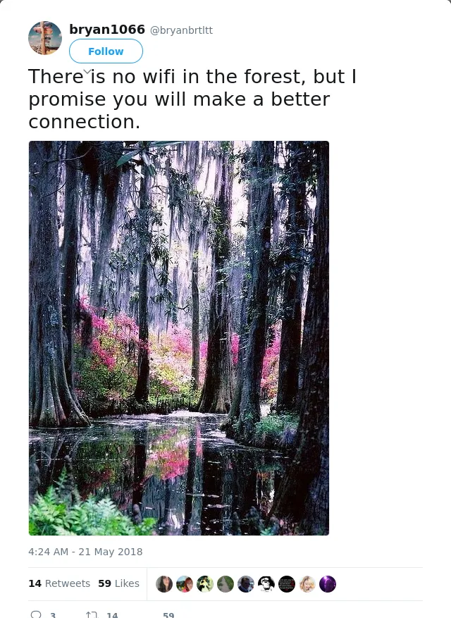 RT @bryanbrtltt: There is no wifi in the forest, but I promise you will make a better connection.