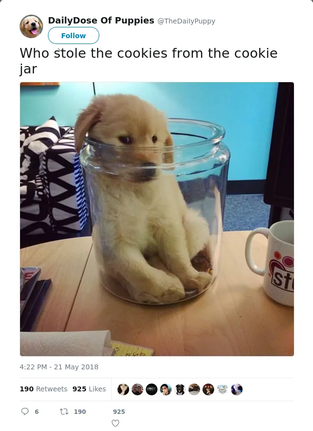 RT @TheDaiIyPuppy: Who stole the cookies from the cookie jar