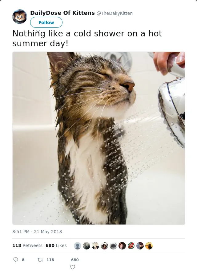 RT @TheDaiIyKitten: Nothing like a cold shower on a hot summer day!