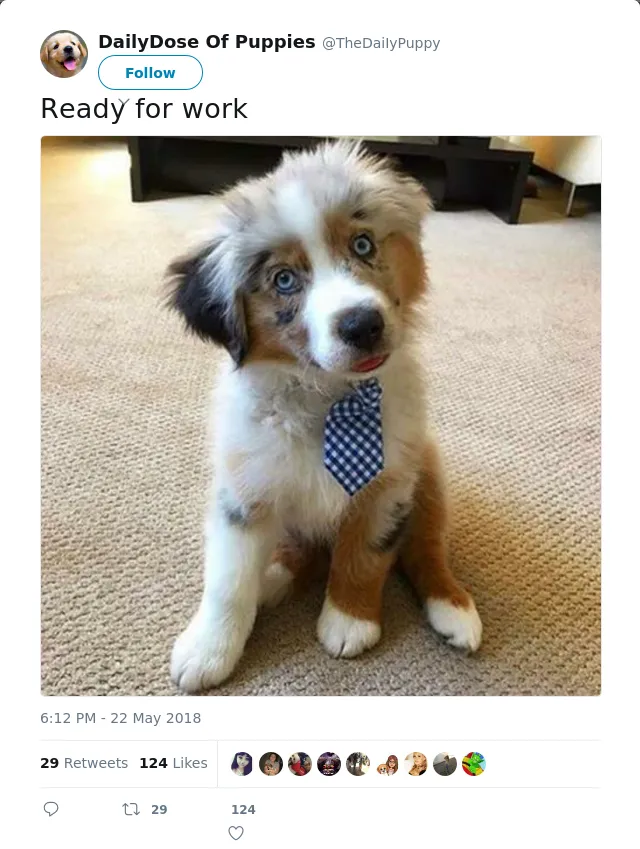 RT @TheDaiIyPuppy: Ready for work