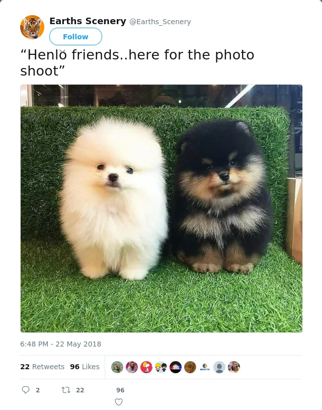 RT @Earths_Scenery: “Henlo friends..here for the photo shoot”