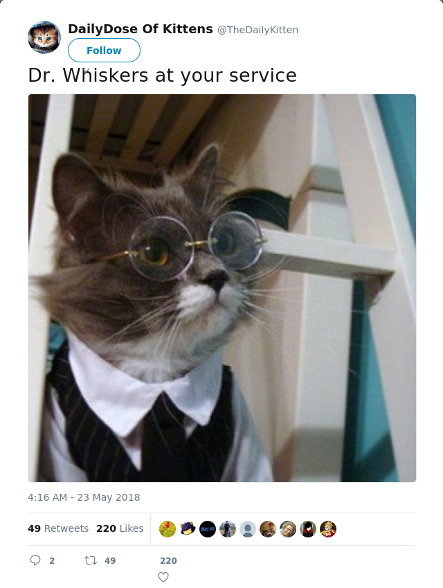 RT @TheDaiIyKitten: Dr. Whiskers at your service