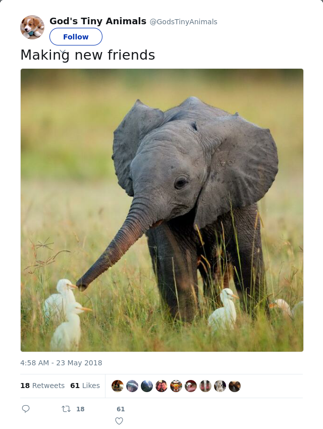 RT @GodsTinyAnimals: Making new friends