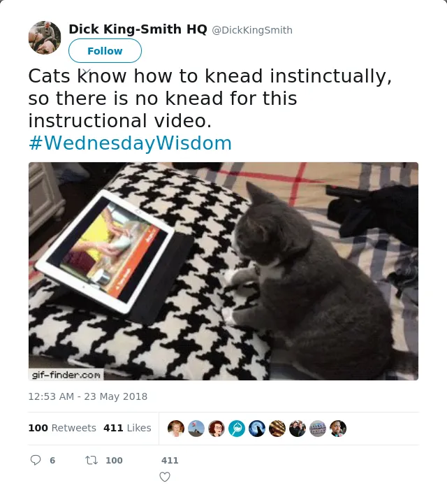 RT @DickKingSmith: Cats know how to knead instinctually, so there is no knead for this instructional video.
#WednesdayWisdom