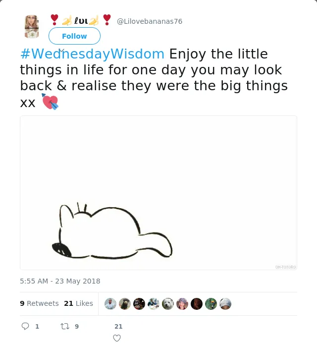 RT @Lilovebananas76: #WednesdayWisdom Enjoy the little things in life for one day you may look back &amp; realise they were the big things xx 💘…