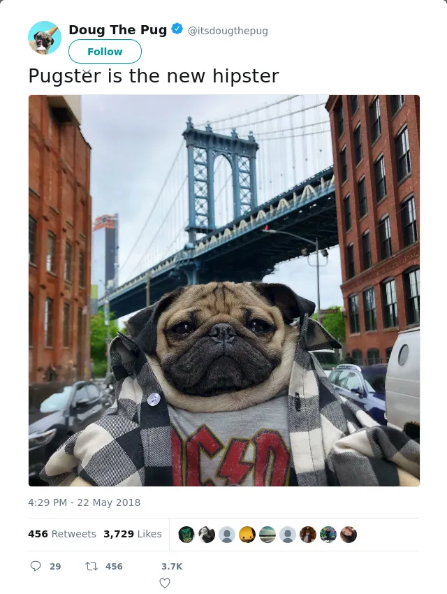 RT @itsdougthepug: Pugster is the new hipster
