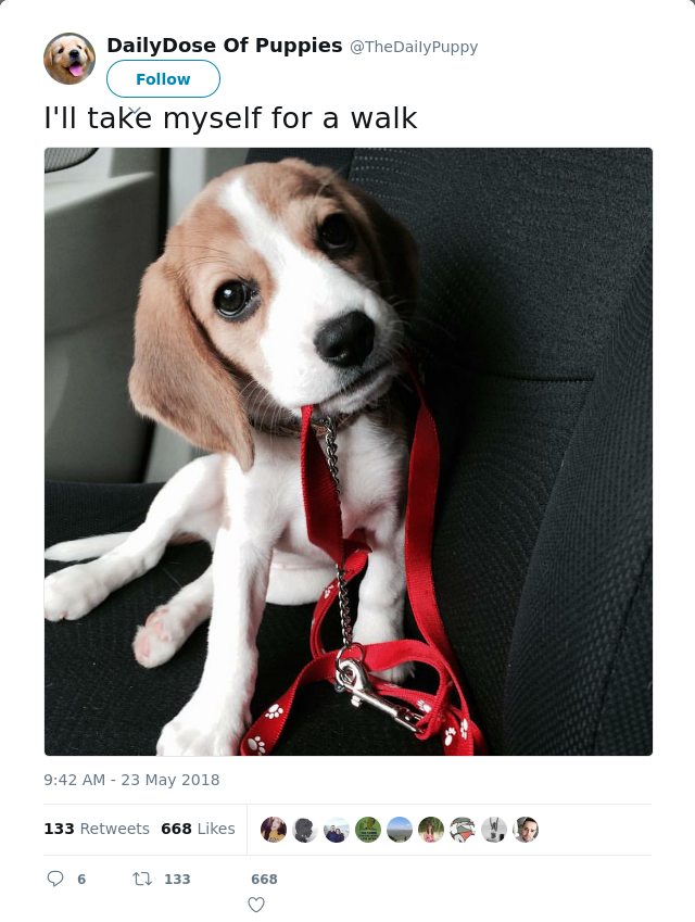 RT @TheDaiIyPuppy: I'll take myself for a walk