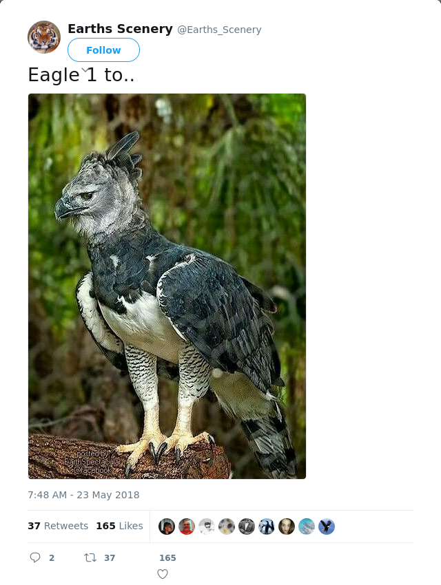 RT @Earths_Scenery: Eagle 1 to..