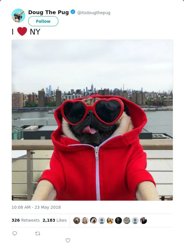 RT @itsdougthepug: I ❤️ NY