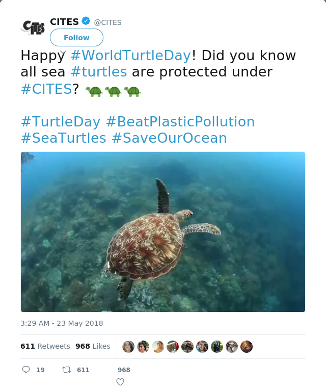 RT @CITES: Happy #WorldTurtleDay! Did you know all sea #turtles are protected under #CITES? 🐢🐢🐢

#TurtleDay #BeatPlasticPollution #SeaTurtl…