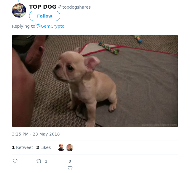 RT @topdogshares: @GemCrypto