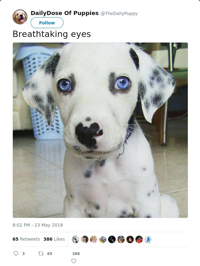 RT @TheDaiIyPuppy: Breathtaking eyes