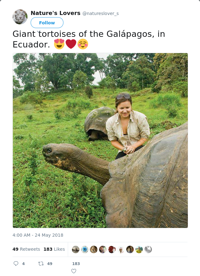RT @natureslover_s: Giant tortoises of the Galápagos, in Ecuador. 😍❤️☺️