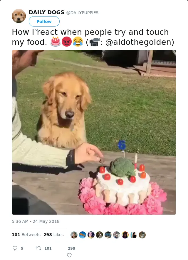 RT @DAILYPUPPlES: How I react when people try and touch my food. 🎂😡😂 (📹: @aldothegolden)