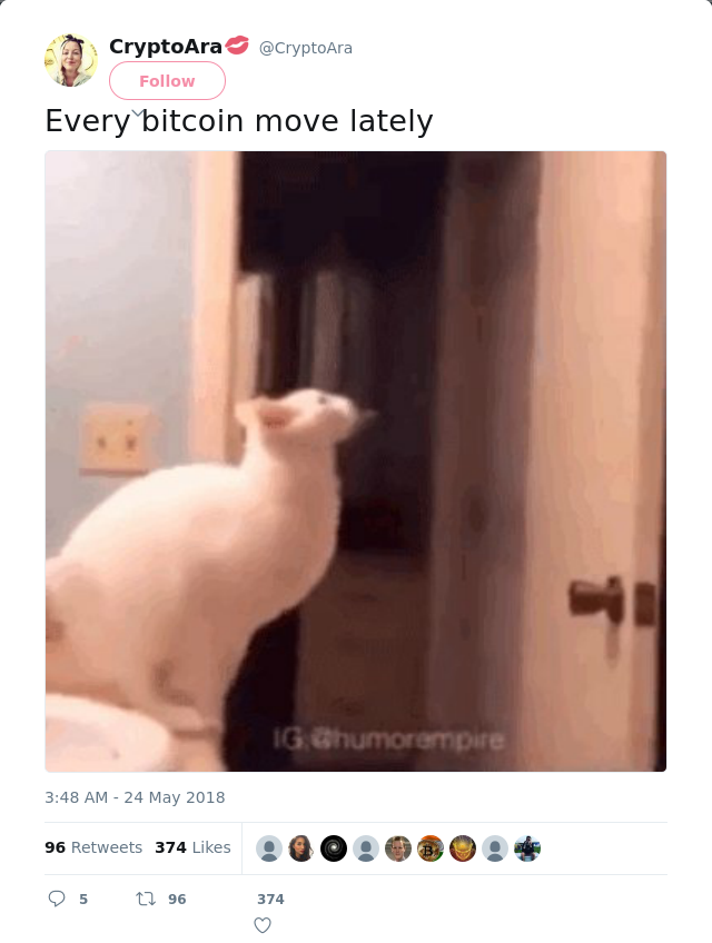 RT @CryptoAra: Every bitcoin move lately