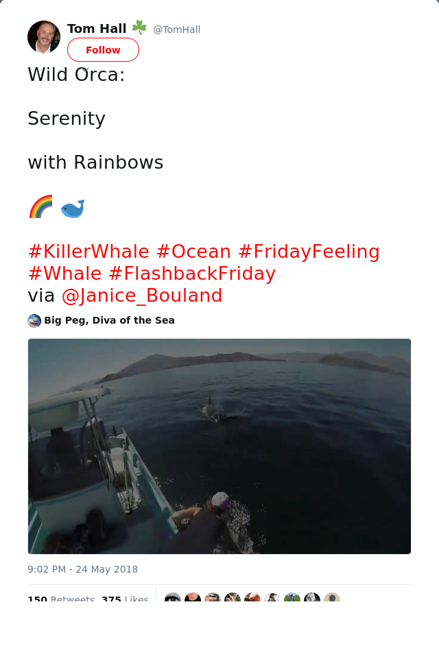 RT @TomHall: Wild Orca:

Serenity

with Rainbows

🌈 🐋 

#KillerWhale #Ocean #FridayFeeling #Whale #FlashbackFriday 
via @Janice_Bouland 

h…