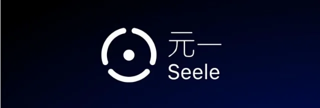 Review of ICO Seele