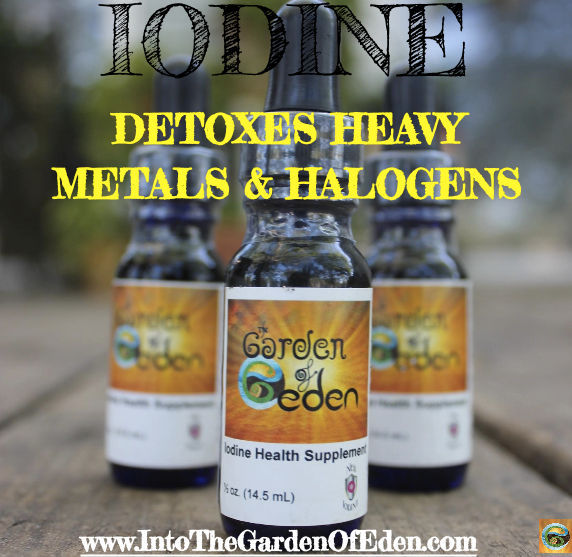 Iodine: An Essential Nutrient and Holistic Option for Detoxing Heavy Metals and Halogens