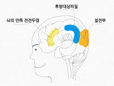 디폴트 모드 네트워크