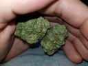 @botmarley's daily report: 03.04.2018