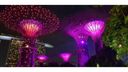 📷#WalkWithMe Garden by the Bay Mid-Autumn 2018C (+Video) | 滨海湾花园中秋2018C (+视频)😎 (by @ace108)