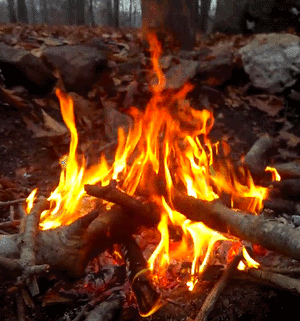 Keep the Fire Burning