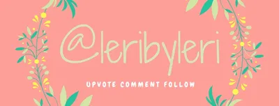 @LERIBYLERI.jpg